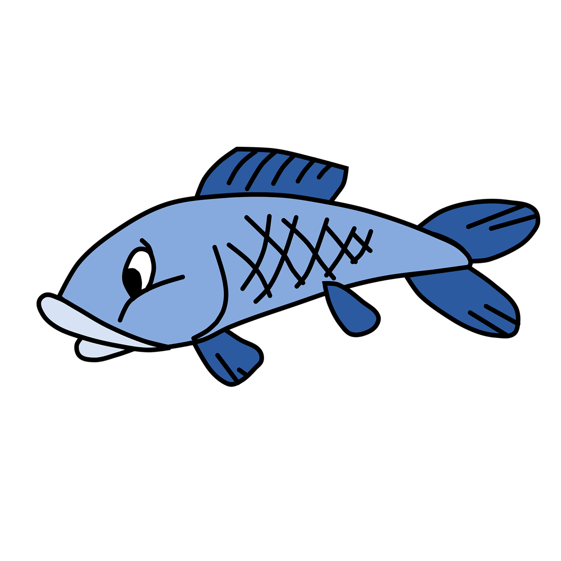 Seafood